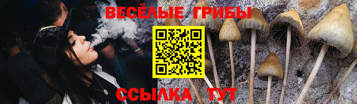 Галлюциногенные грибы MAGIC MUSHROOMS Железногорск