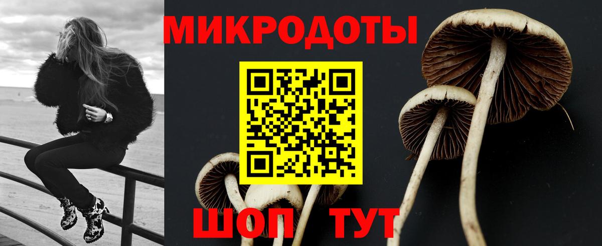 Псилоцибиновые грибы Psilocybe  Псилоцибиновые грибы прущие грибы  Железногорск  Вход с VPN 